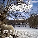 Snoe Edelweiss Hotel 3*
