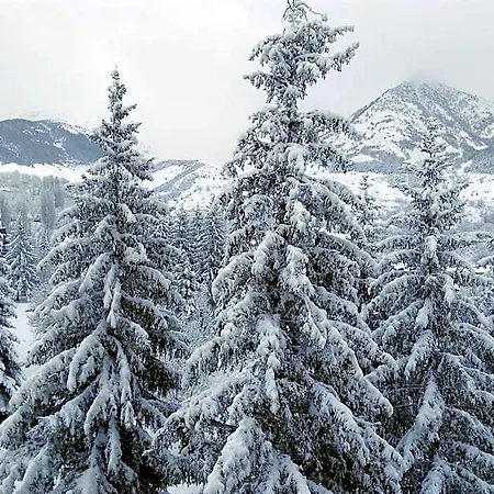 Snoe Edelweiss Cerler
