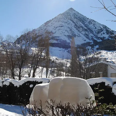 Sno Edelweiss