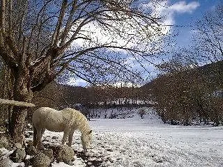 Snoe Edelweiss Hotel 3*